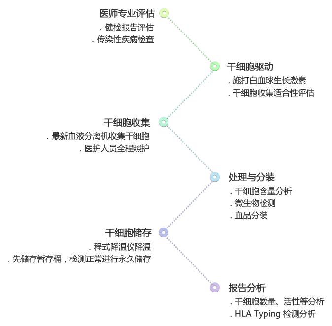 干细胞收储流程：医师专业评估、干细胞驱动、干细胞收集、处理与分装、干细胞储存、报告分析。