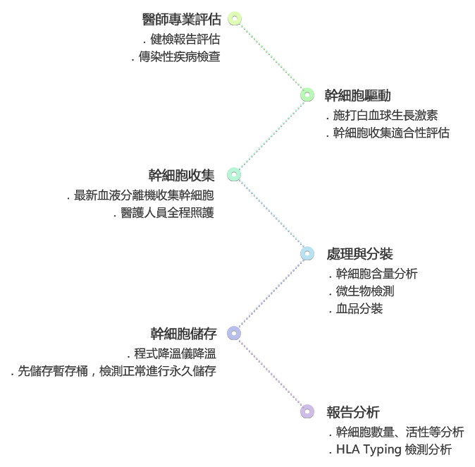 幹細胞收儲流程：醫師專業評估、幹細胞驅動、幹細胞收集、處理與分裝、幹細胞儲存、報告分析。