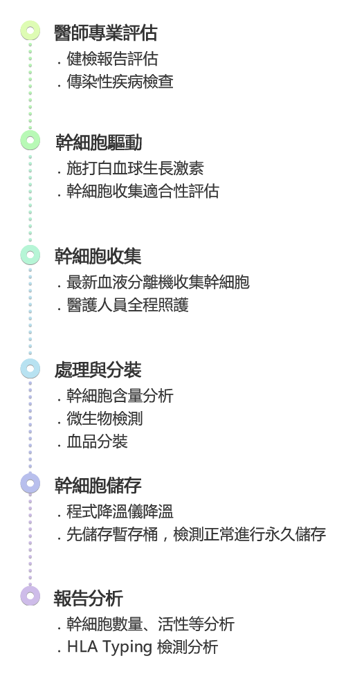 幹細胞收儲流程：醫師專業評估、幹細胞驅動、幹細胞收集、處理與分裝、幹細胞儲存、報告分析。