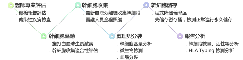 幹細胞收儲流程：醫師專業評估、幹細胞驅動、幹細胞收集、處理與分裝、幹細胞儲存、報告分析。